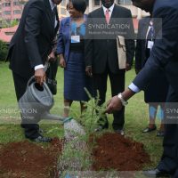 Education cabinet secretary Prof Jacob Kaimenyi waters a tree