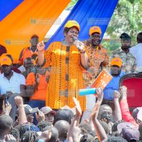 Linda Ground grassroots activation initiative