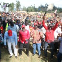 At Ankamia Primary School grounds in Tigania East