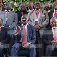 Eastern and Southern Africa Commission on Drugs (ESACD)