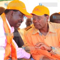 Orange Democratic Movement rally