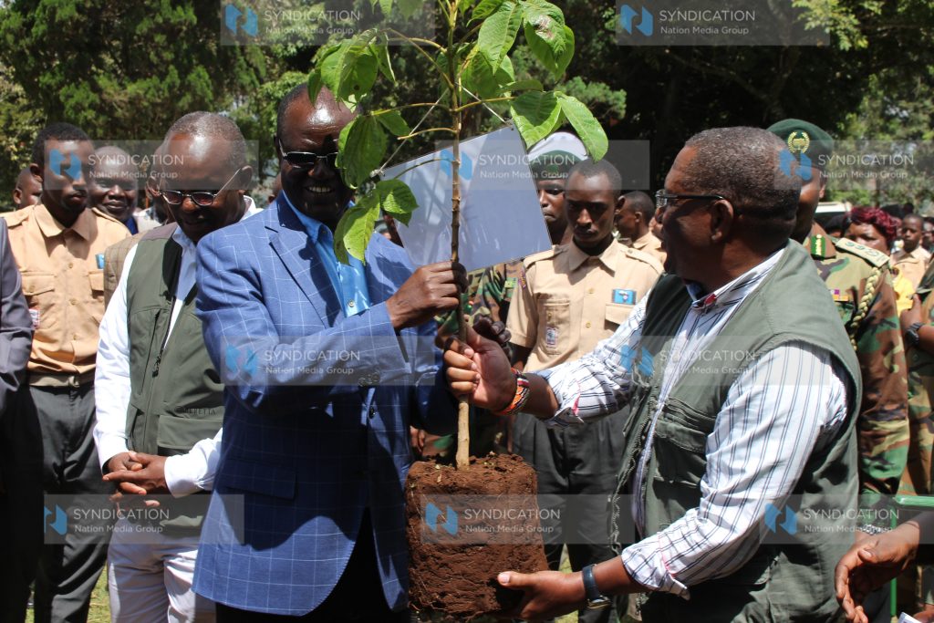 Governor Kiraitu Murungi (left) and Environment CS Keriako Tobiko during a National Schools tree planting campaign