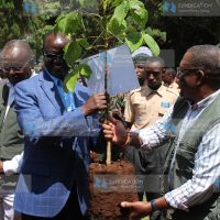 Governor Kiraitu Murungi (left) and Environment CS Keriako Tobiko during a National Schools tree planting campaign