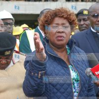 CS Lands and Housing Alice Wahome