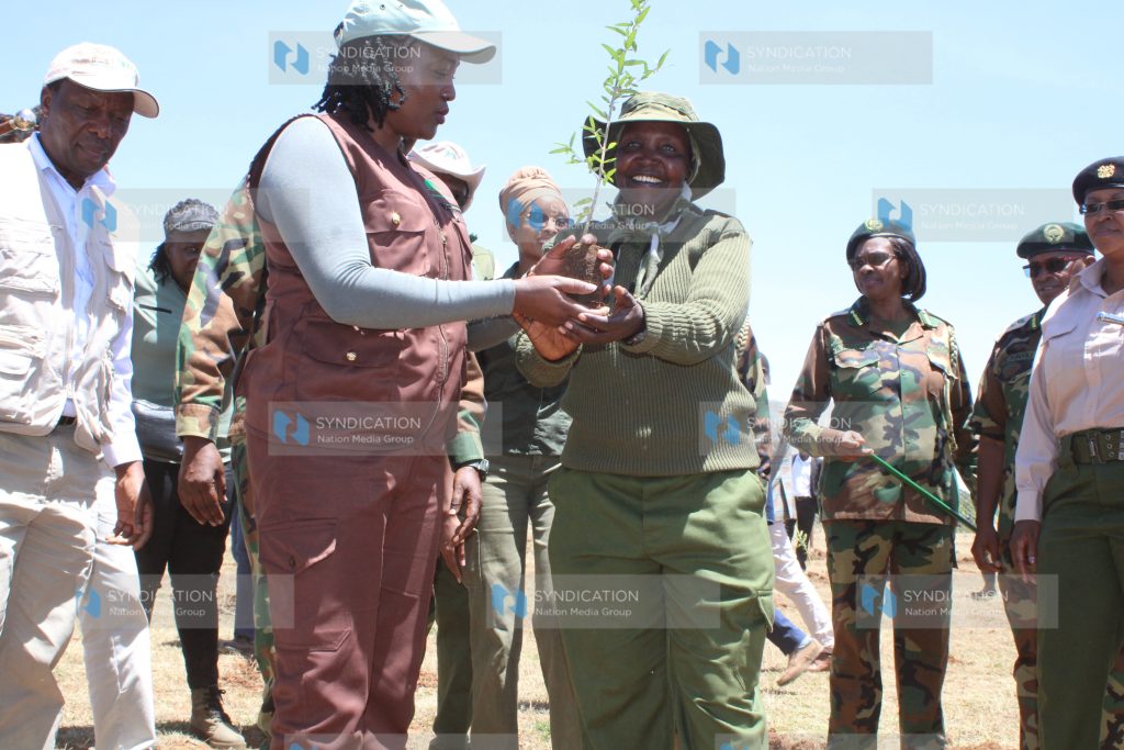 Environment CS Soipan Tuya joins conservationist Mary Wanjiku during a tree-planting exercise