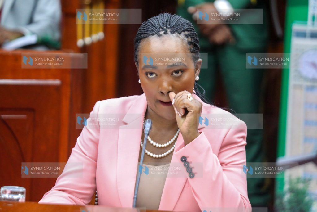 Defence Cabinet Secretary nominee Soipan Tuya before the Committee on Appointments