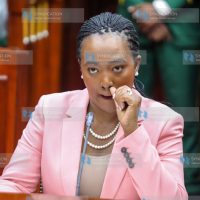 Defence Cabinet Secretary nominee Soipan Tuya before the Committee on Appointments