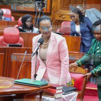 Defence Cabinet Secretary nominee Soipan Tuya before the Committee