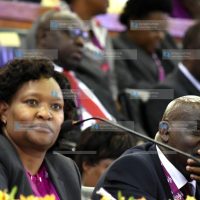 KenGen annual general meeting