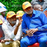 ODM Nyanza Delegates Consultative Forum
