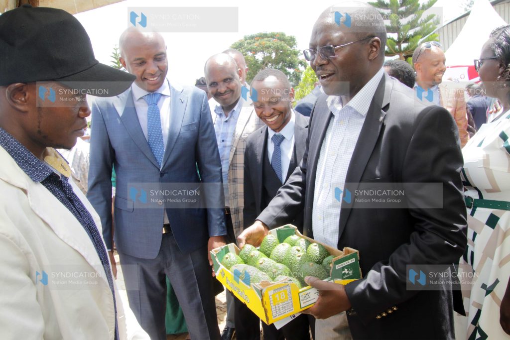 Maragua Milk Processing Plant in Murang'a County