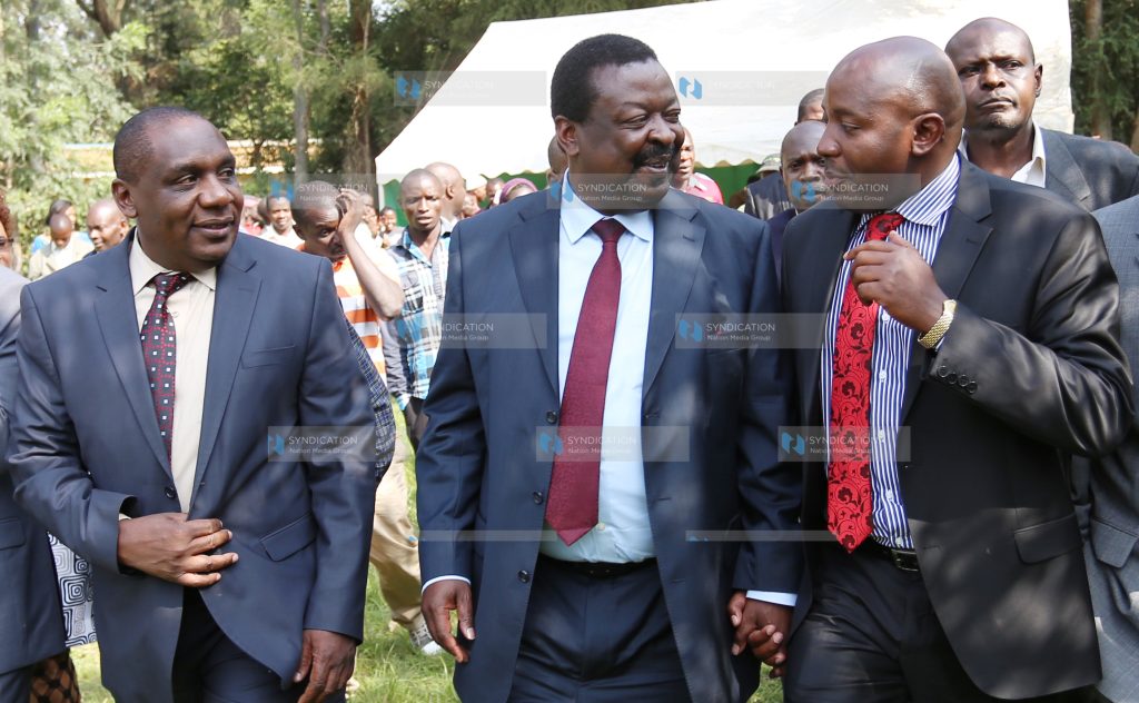 Amani National Congress (ANC) Party leader Musalia Mudavadi