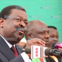 Amani National Congress Party leader Musalia Mudavadi