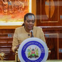Cabinet Secretary for the Ministry of Environment, Climate Change and Forestry Soipan Tuya