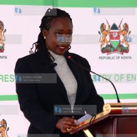 Launch of the Ministry of Environment, Climate Change and Forestry's five-year strategic plan