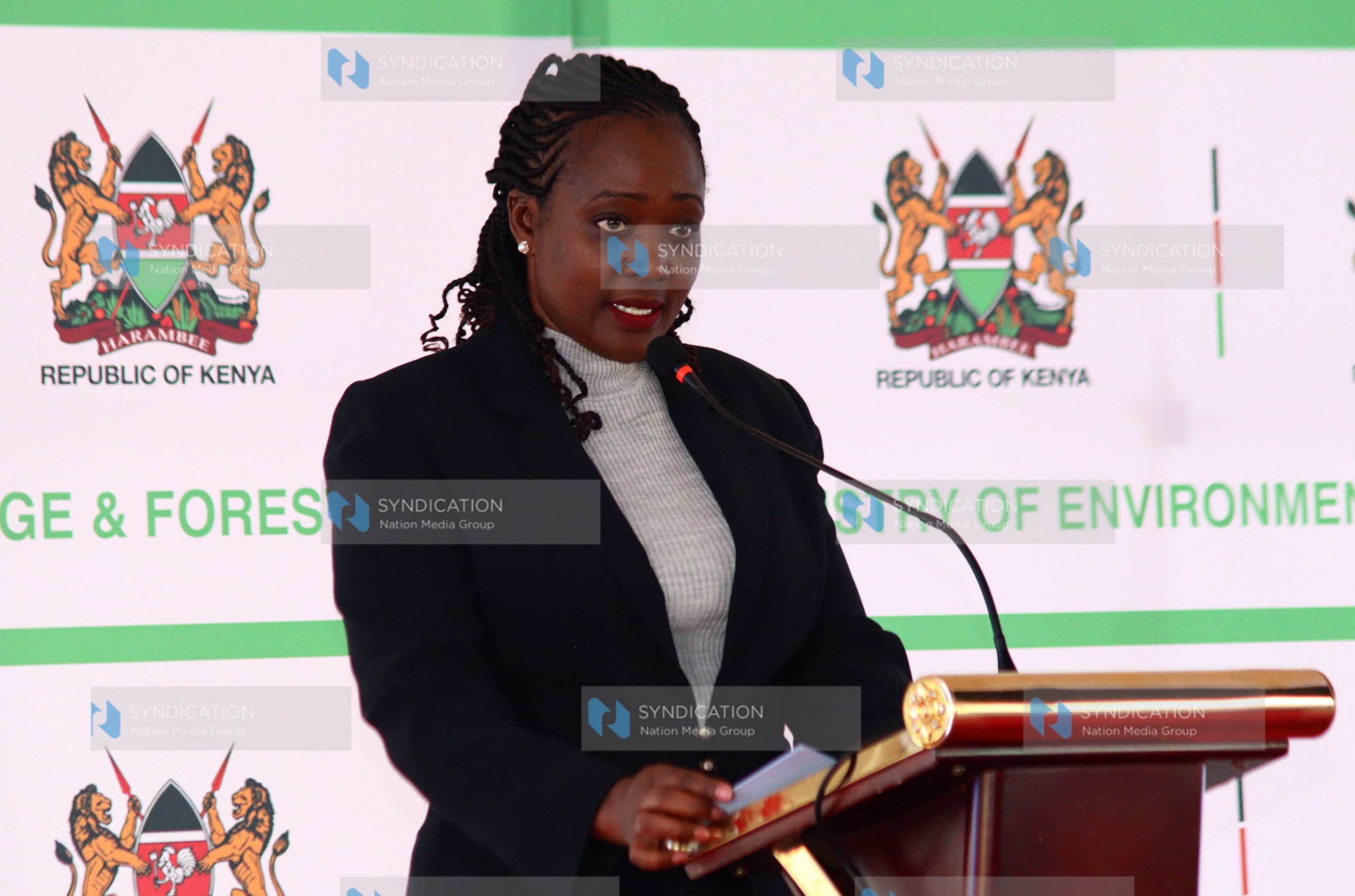 Launch of the Ministry of Environment, Climate Change and Forestry’s five-year strategic plan