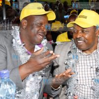 Pesa Mashinani referendum