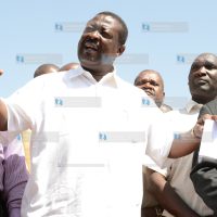 Deputy Prime Minister Musalia Mudavadi