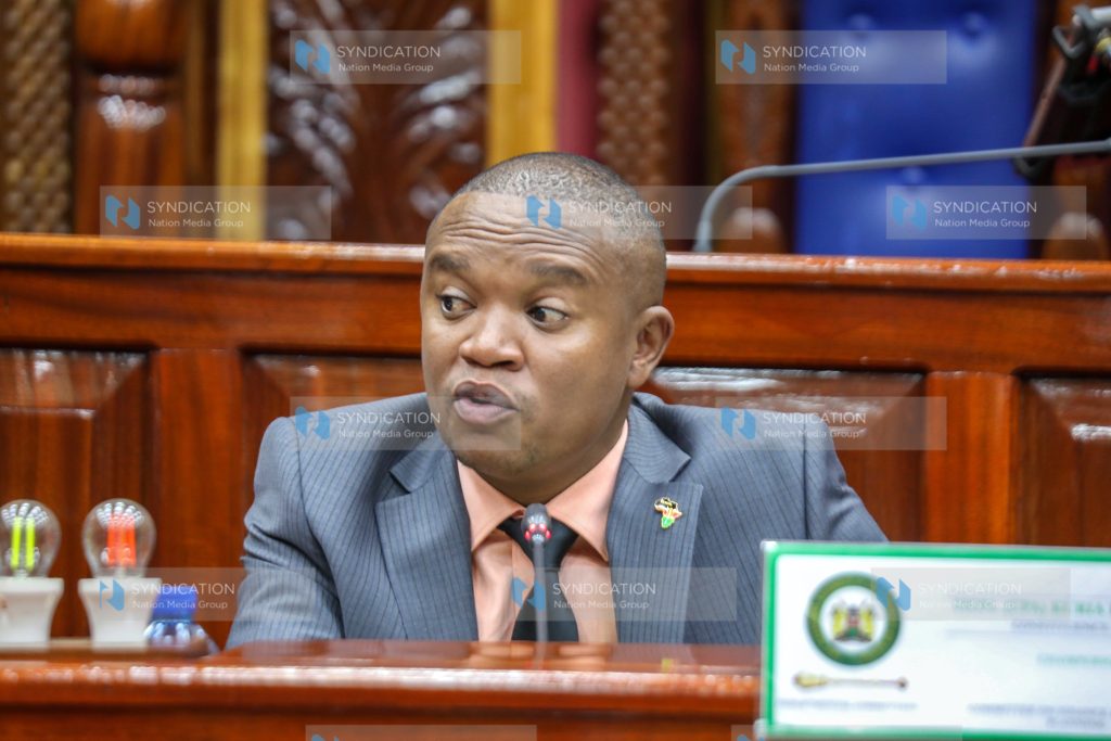 Chairperson of the National Assembly Finance and National Planning Committee