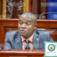 Chairperson of the National Assembly Finance and National Planning Committee