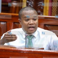 Francis Kuria Kimani during a joint committee sitting