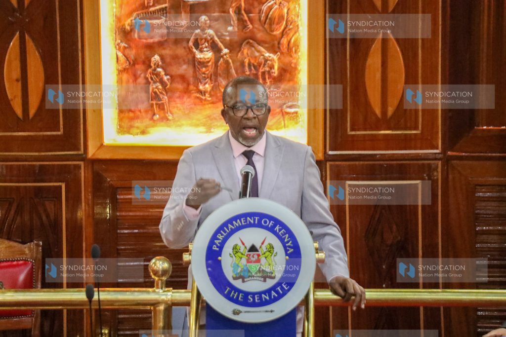 Agriculture Cabinet Secretary Mithika Linturi before the Senate
