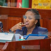 Public Investments Committee on Governance and Education Vice-Chair Naisula Lesuuda at the National Assembly