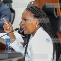 Samburu West MP and a member of the National Assembly Public Accounts Committee Naisula Josephine Lesuuda during the session