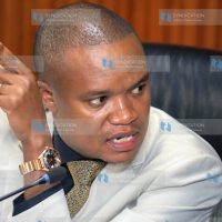 Chairperson of the National Assembly Departmental Committee