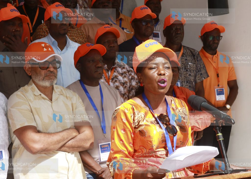 ODM Acting Secretary General Catherine Omanyo addressing during a Media briefing
