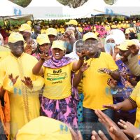 Devolution Empowerment Party and Meru Governor Kiraitu Murungi
