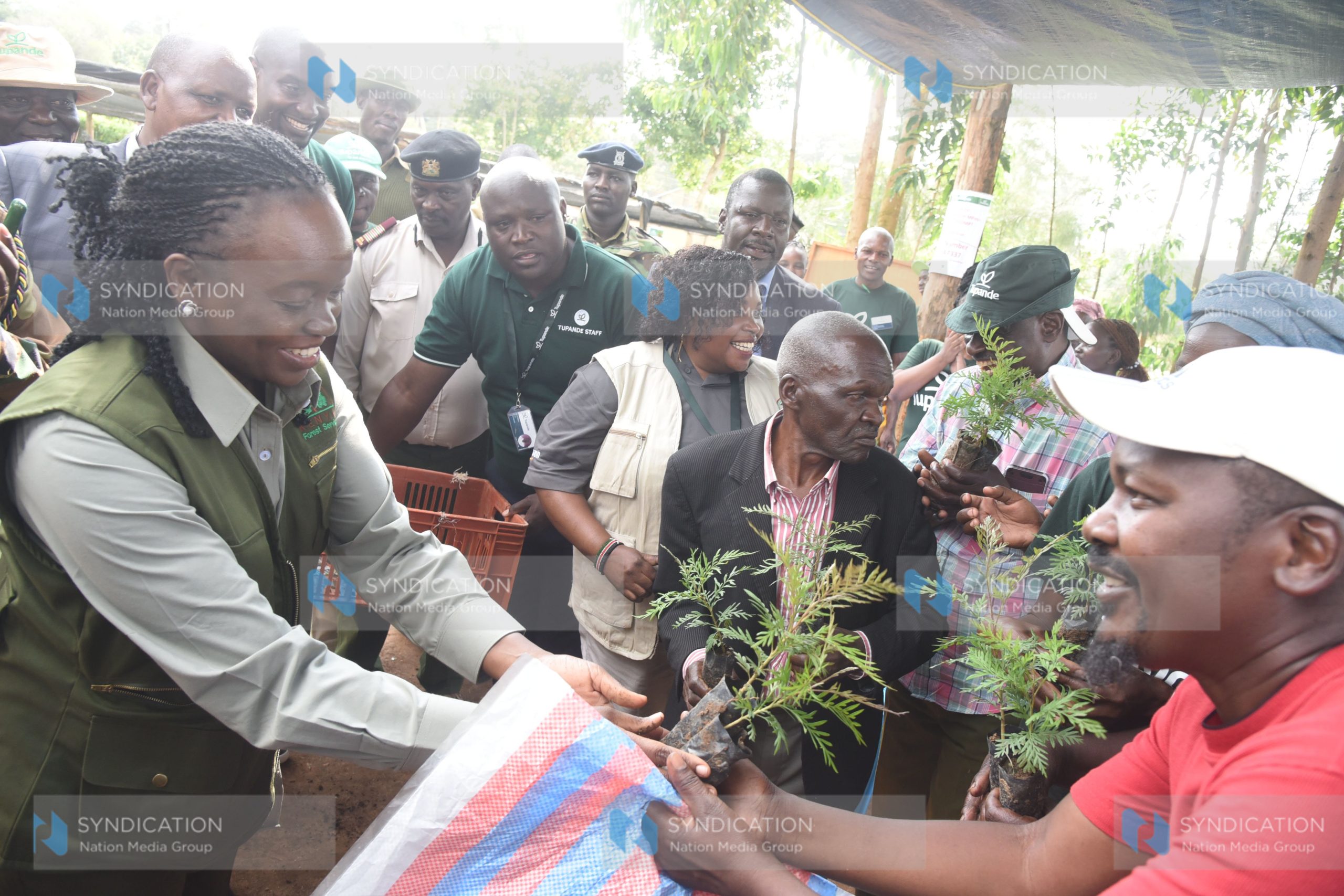 Official launch of Tupande’s 2025 seedling distribution cycle campaign