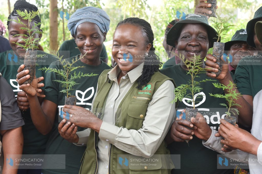 Official launch of Tupande's 2025 seedling distribution cycle campaign