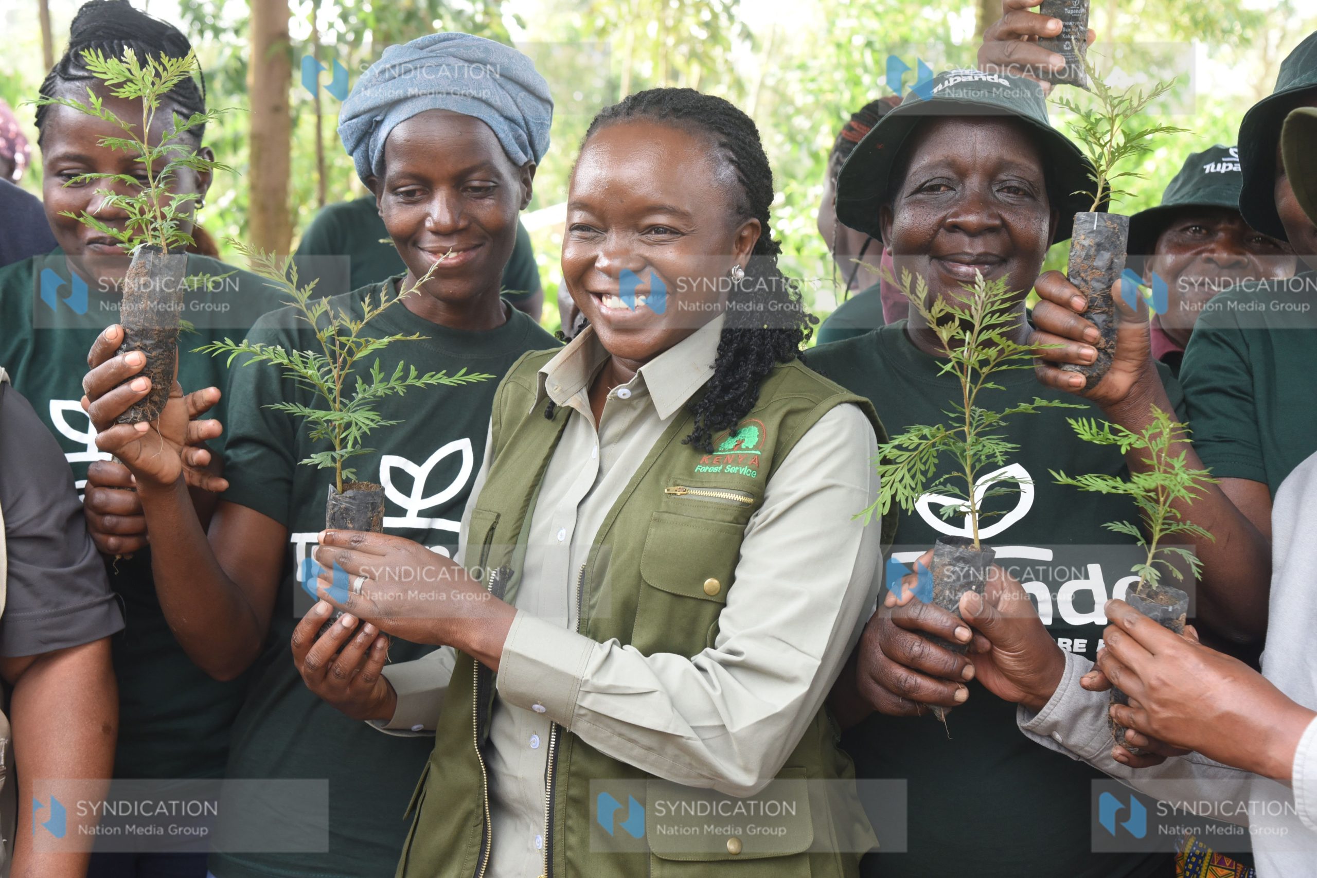 Official launch of Tupande’s 2025 seedling distribution cycle campaign