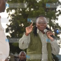 Official launch of Tupande's 2025 seedling distribution cycle campaign