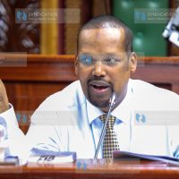 Chairperson Senate Committee on Finance and Budget Sen Roba Ali Ibrahim