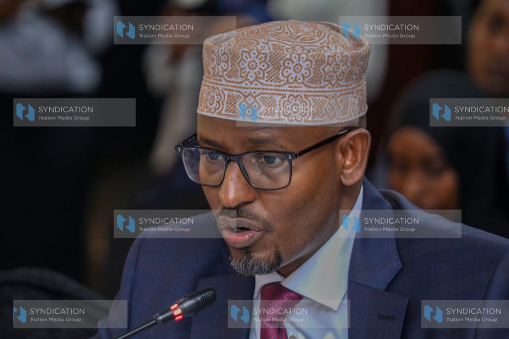 Wajir Governor Ahmed Abdullahi