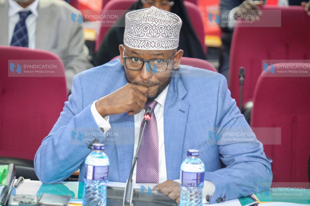 Wajir Governor Ahmed Abdullahi