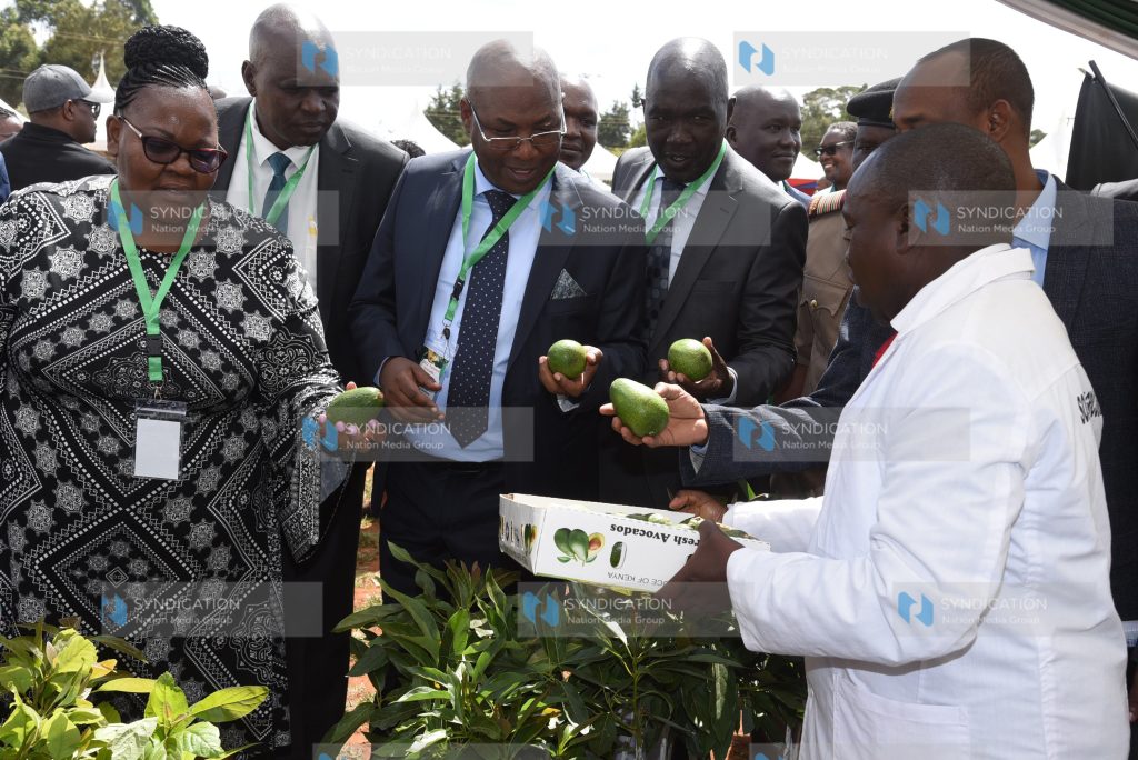 1st Kenya National Avocado Conference