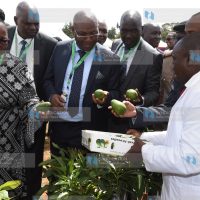 1st Kenya National Avocado Conference