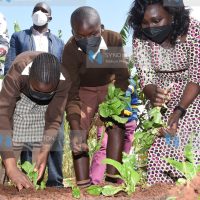 Public sensitization on harmful pesticides and herbicides