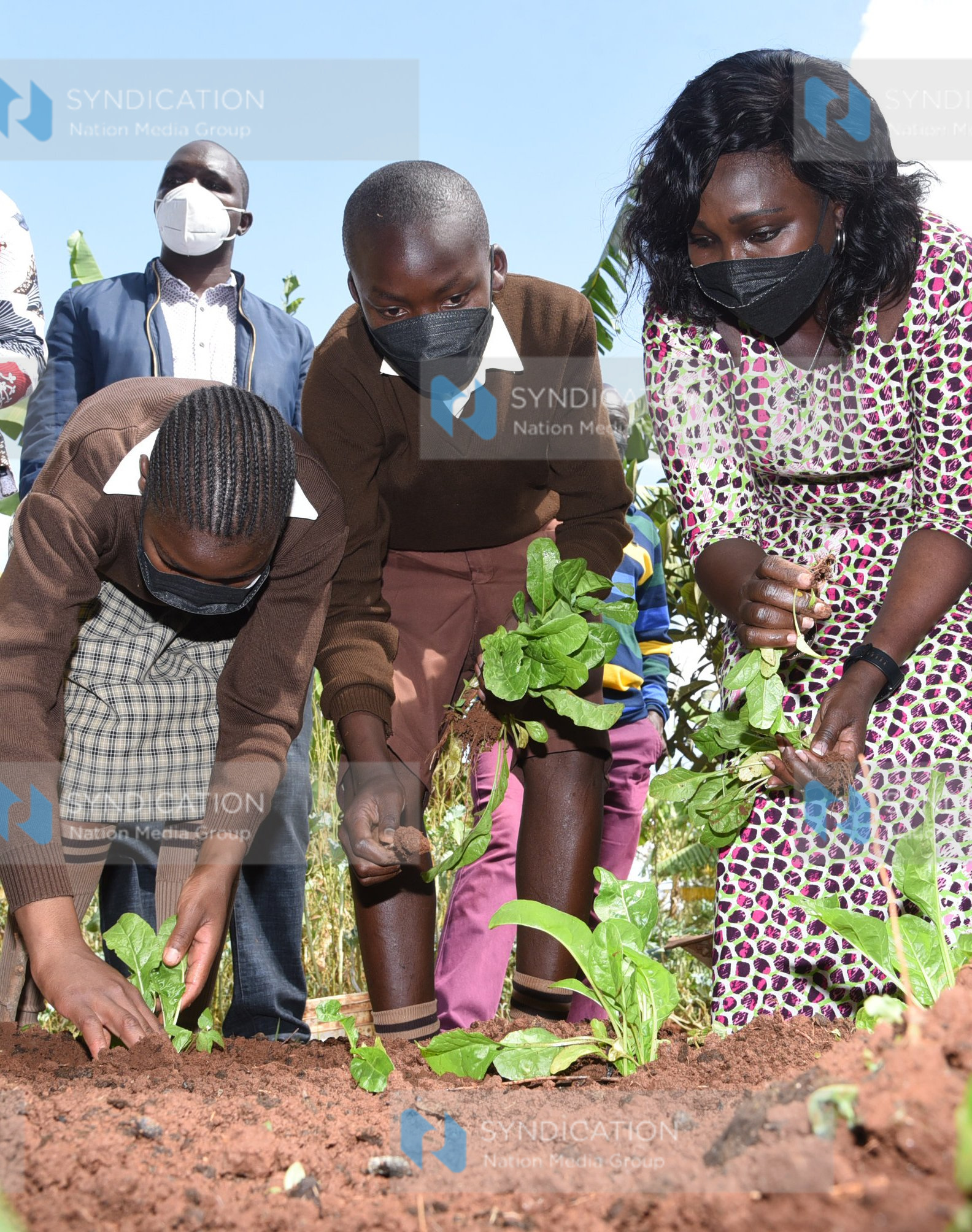 Public sensitization on harmful pesticides and herbicides